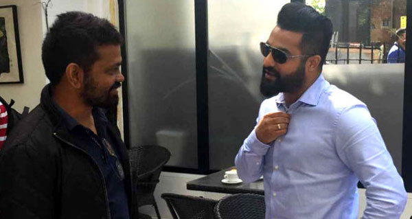 jr ntr,sukumar,sankranthi sentiment,nannaku prematho,dictator,balayya,nagarjuna,soggade chinni nayana  ఎన్టీఆర్‌,సుక్కులు సెంటిమెంట్‌ బ్రేక్ చేస్తారా!